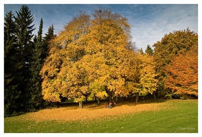 Wenkenpark - Riehen (CH)