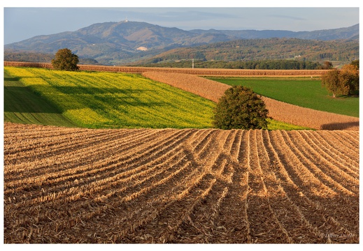 Herbst