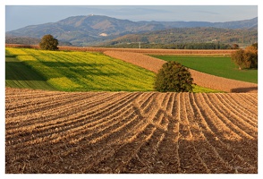 Markgräfler Land