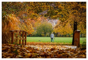 Grüttpark Lö