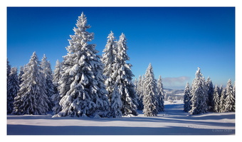Dezember 2015 - Grafenmatt - Feldberg (D)