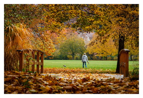 November 2015 - Grüttpark - Lörrach (D)