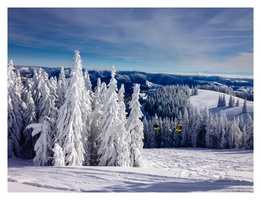 Februar 2016 - Belchen - Schwarzwald (D)
