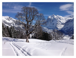 März 2016 - Grindelwald (CH)