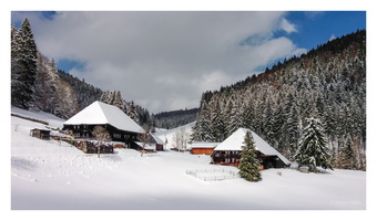 Mai 2016 - Aitern - Schwarzwald (D)