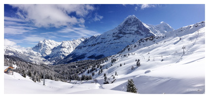 Februar 2017 - Grindelwald (CH)