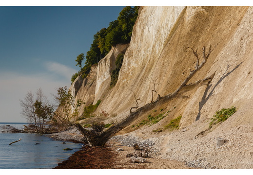 Monatsbilder