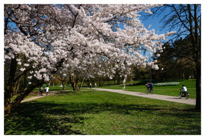 April 2019 - Grüttpark Lörrach (D)