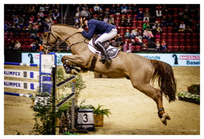 Januar 2019 - CSI Basel (CH)