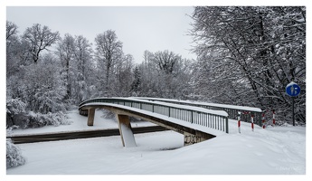 Februar 2022 -  bei Lörrach (D)