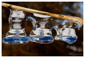 Januar 2022 - gefrorene Wassertropfen an der Wiese (Fluss)