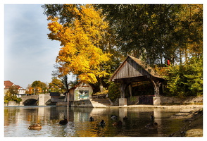 November 2022 - Rhein in Rheinfelden (D/CH)