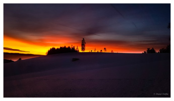Februar 2023 - bei Altdorf im Hotzenwald (D)
