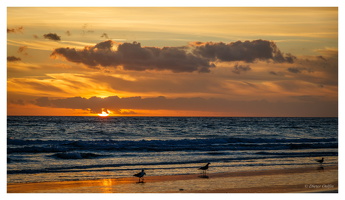 August 2024 -  Algarve (P)