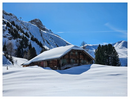 März 2024 - Skigebiet Lenk/Adelboden (CH)