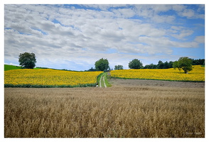 August 2025 - Rheinfelden (D)