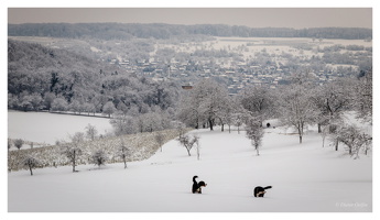 Januar 2025 - Blick auf Lörrach (D)