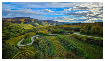 November 2025 - Kaiserstuhl