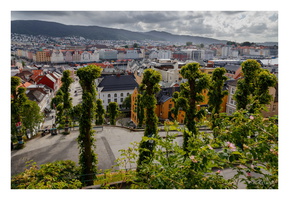 180615-128 Bergen