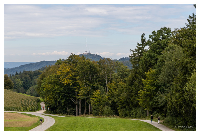 170904-002_Hausberg-Zuerich.JPG