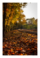 151027-176 Lange-Erlen