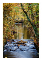151027-223 Lange-Erlen