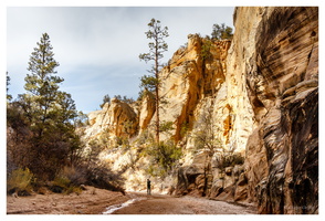 Averett Canyon