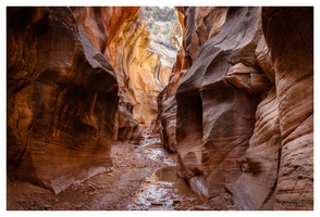 Averett Canyon