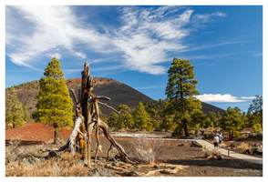 Sunset Crater Volcano NM