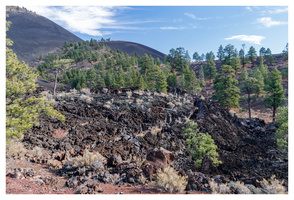 Sunset Crater Volcano NM