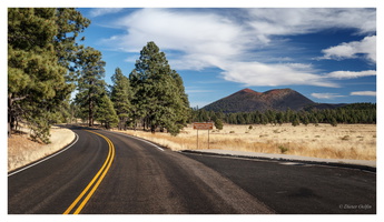 Sunset Crater Volcano NM