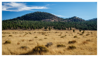 Sunset Crater Volcano NM