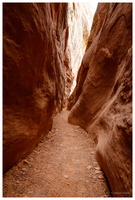 Little Wild Horse Canyon & Bell Canyon
