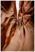 Little Wild Horse Canyon & Bell Canyon