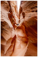 Little Wild Horse Canyon & Bell Canyon