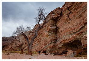 Little Wild Horse Canyon & Bell Canyon