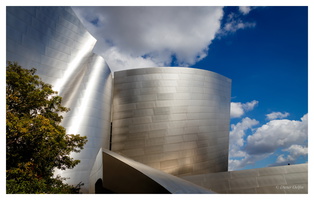 Walt Disney Concert Hall