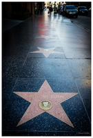 Hollywood Blvd