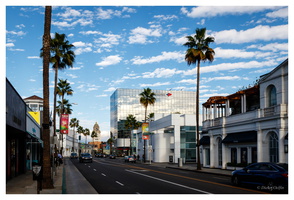 Beverly Hills - Rodeo Drive