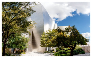 Walt Disney Concert Hall