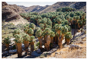 Indian Canyons