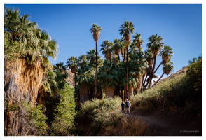 Indian Canyons