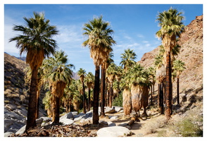Indian Canyons