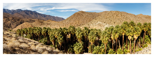 Indian Canyons