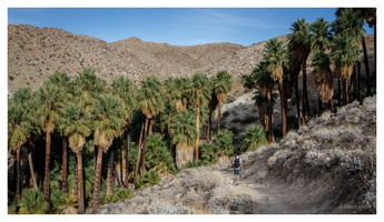 Indian Canyons