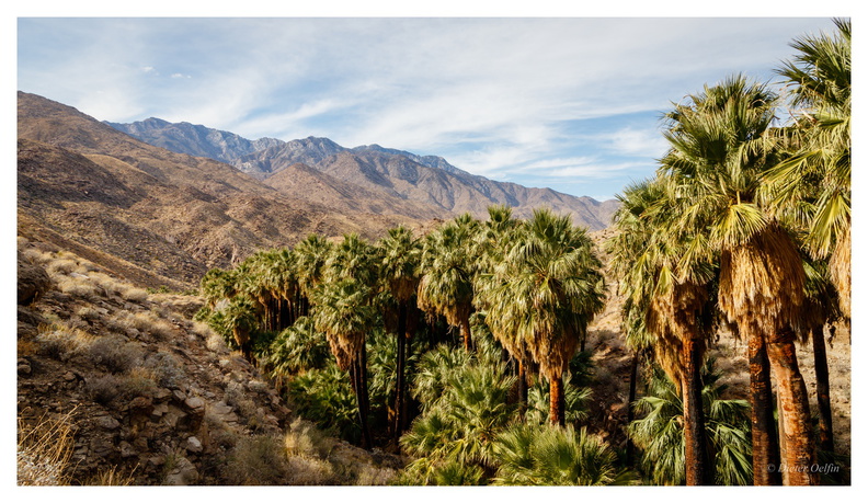 171107-223_Palm-Springs.JPG