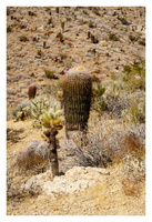 Indian Canyons