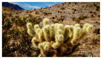 Indian Canyons