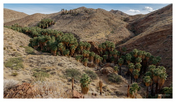 Indian Canyons