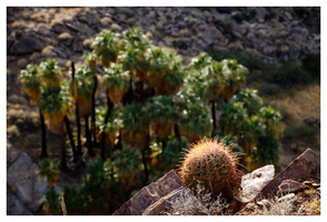 Indian Canyons